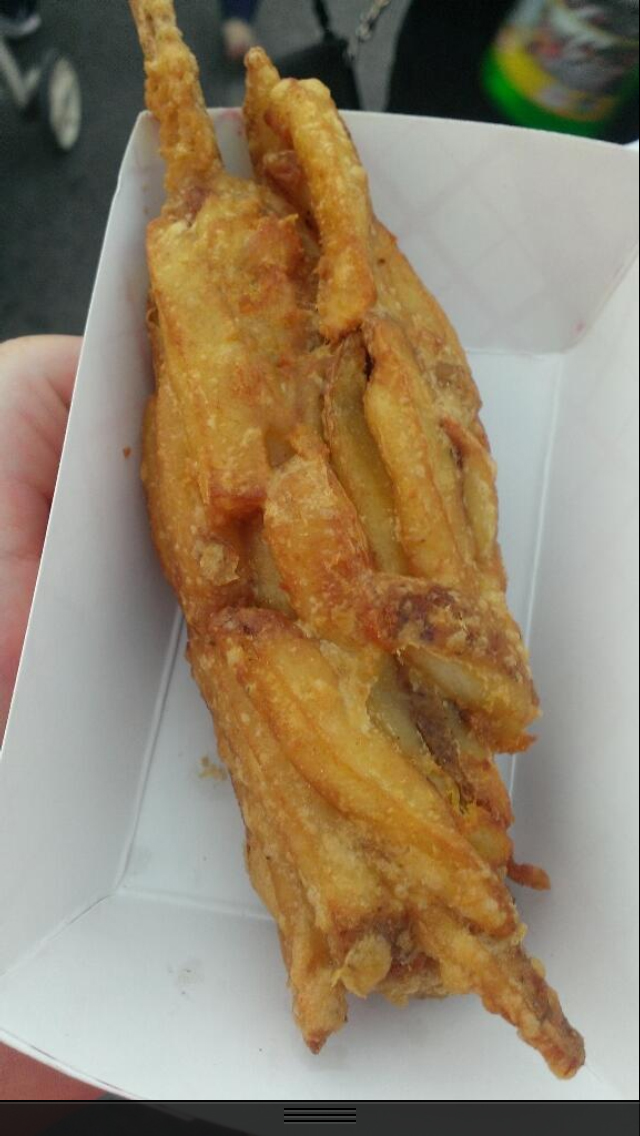 This is the infamous French Fry Hot Dog from the Wisconsin fair.