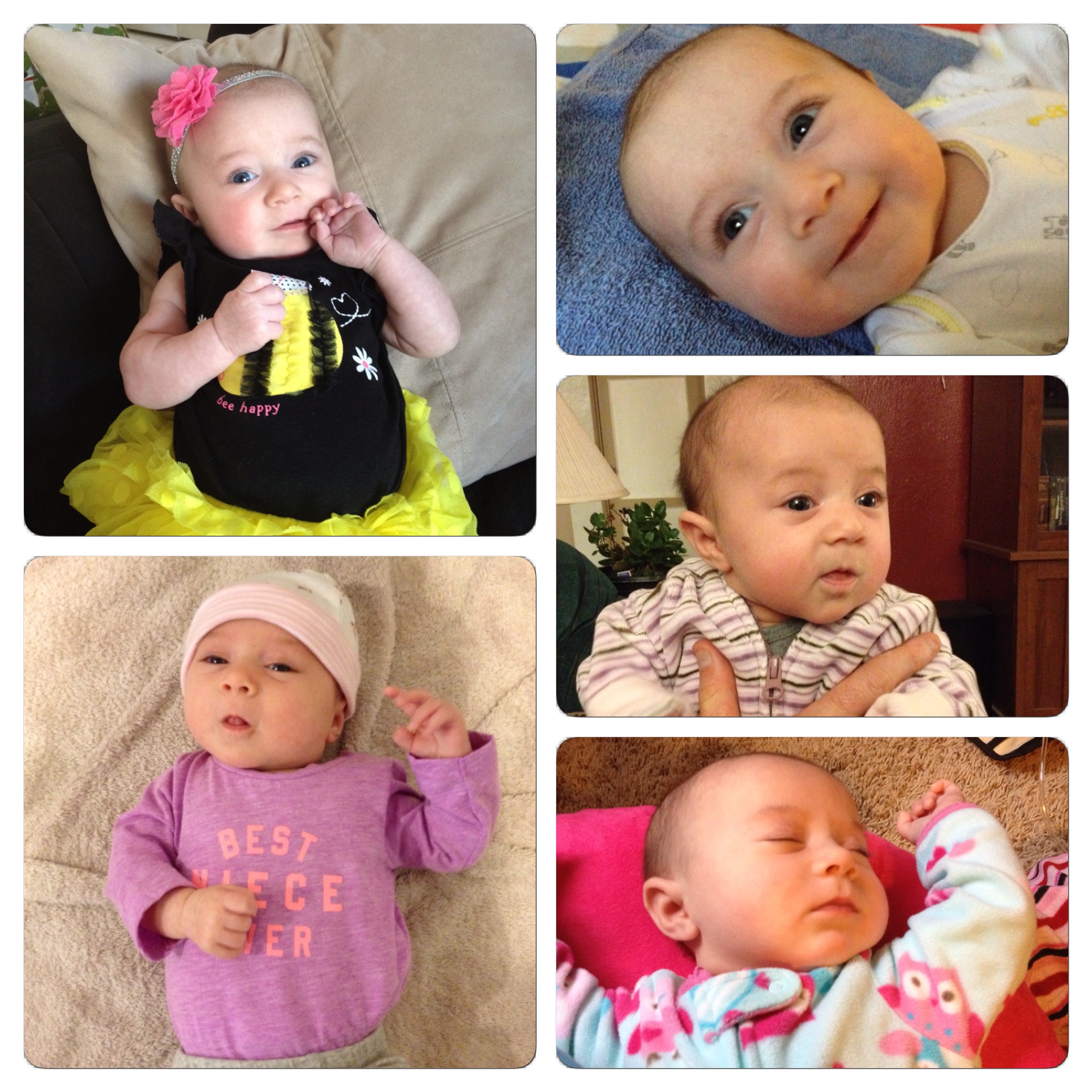 Here are the latest photos of Mikayla. I meet her soon.
