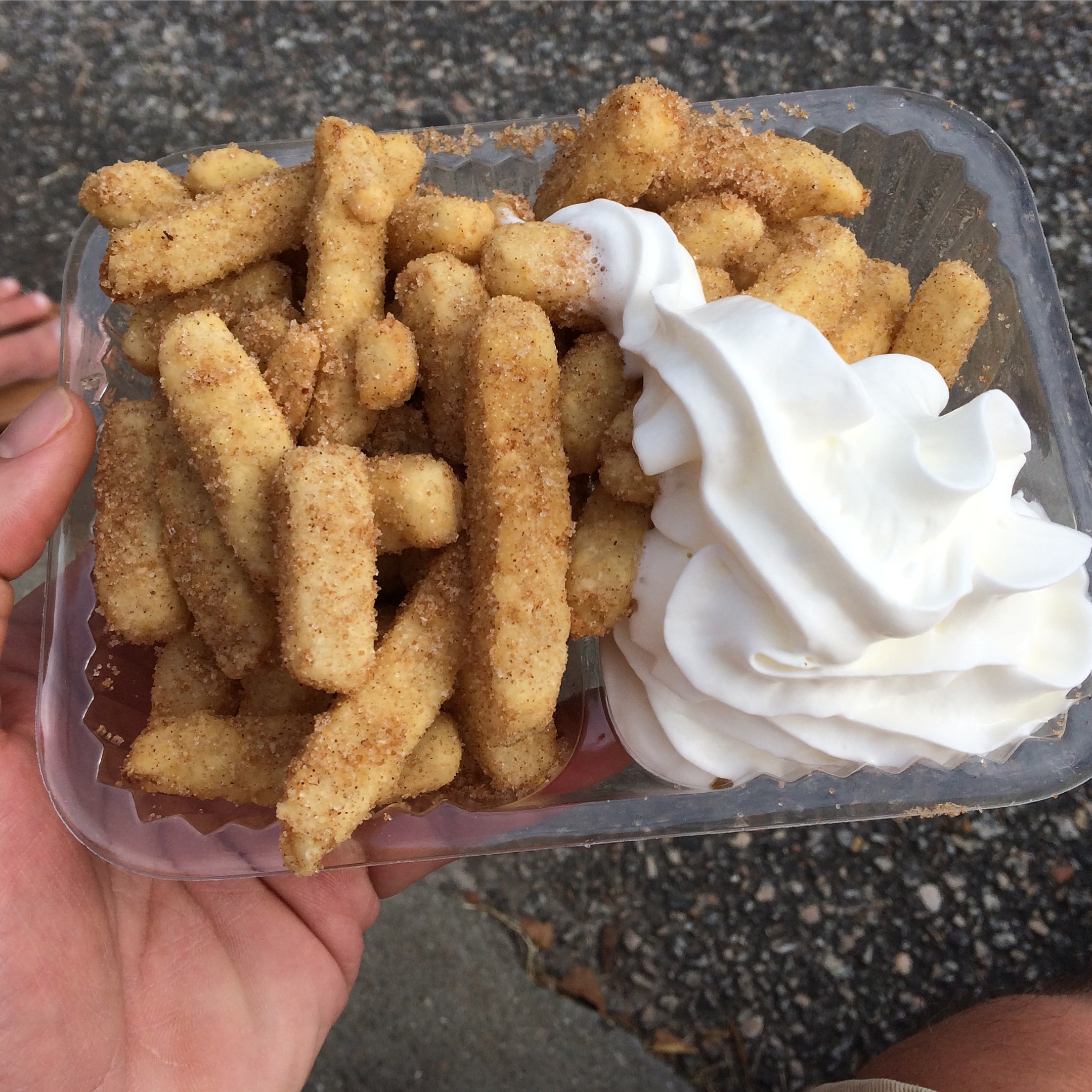 These were the apple fries we enjoyed last Saturday.