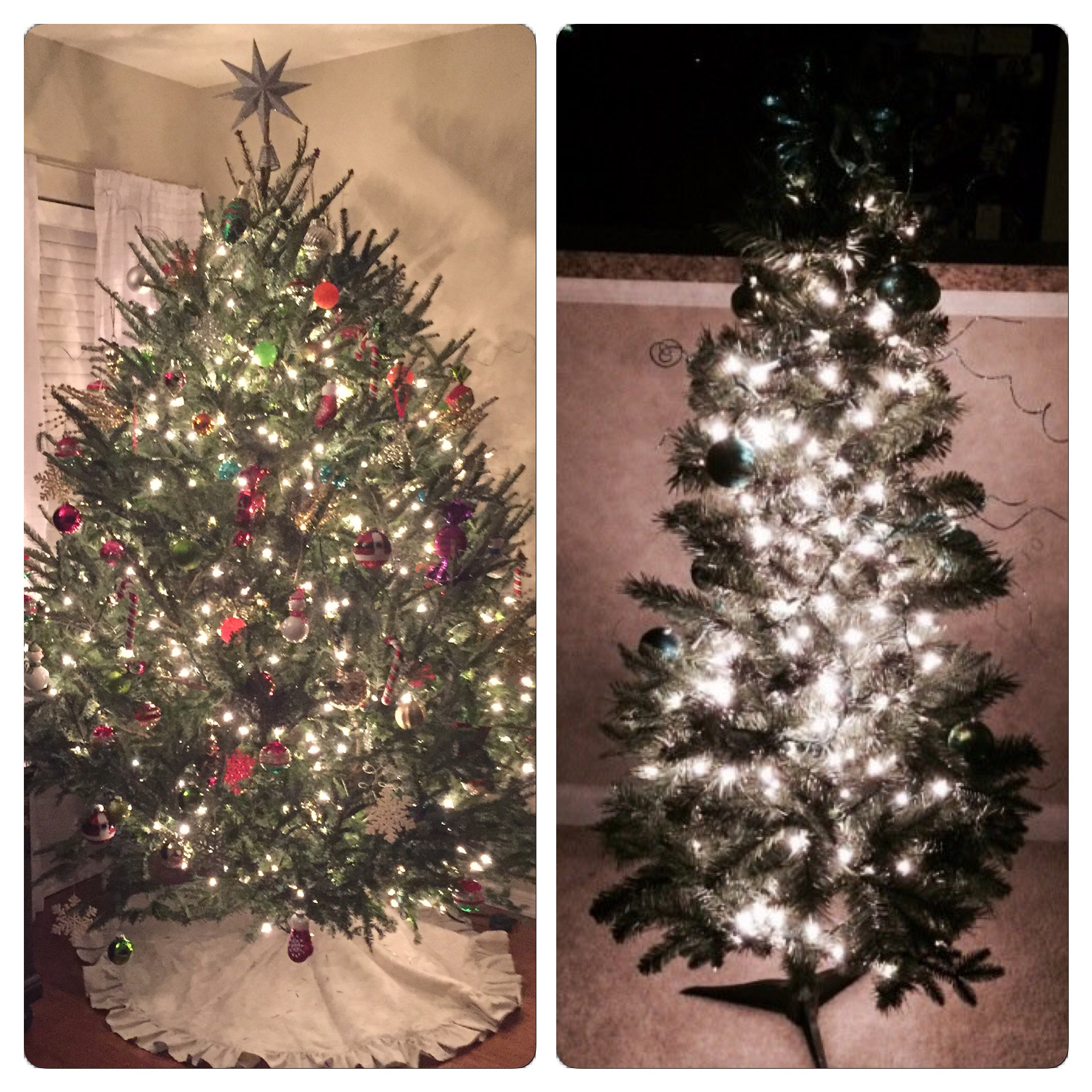 Sid's tree is on the left and my tree is on the right.