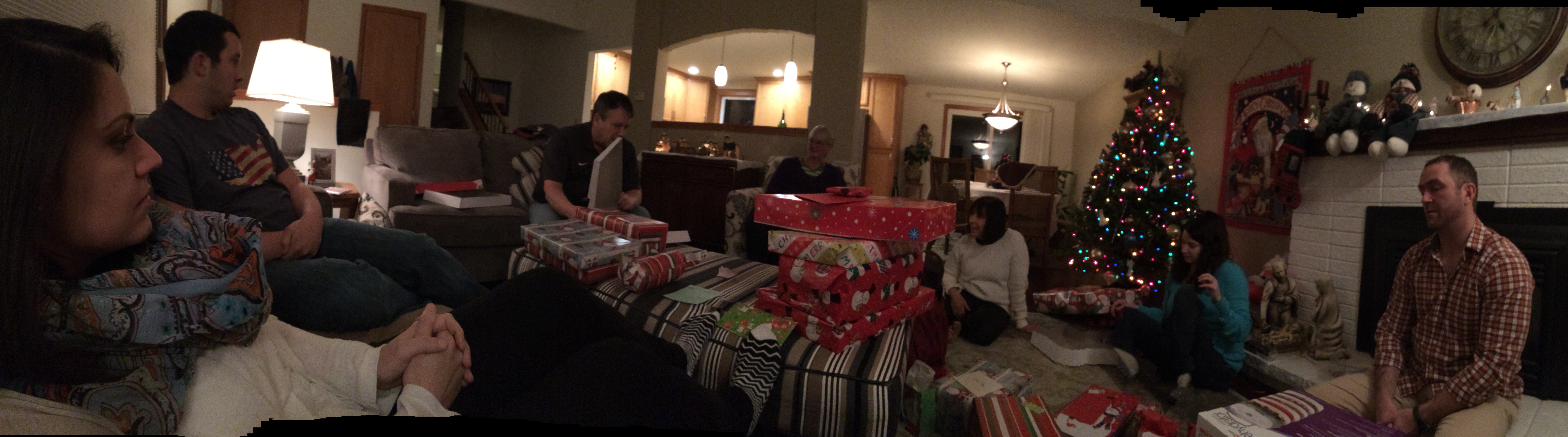 Here is a panorama of our Reser family Christmas.