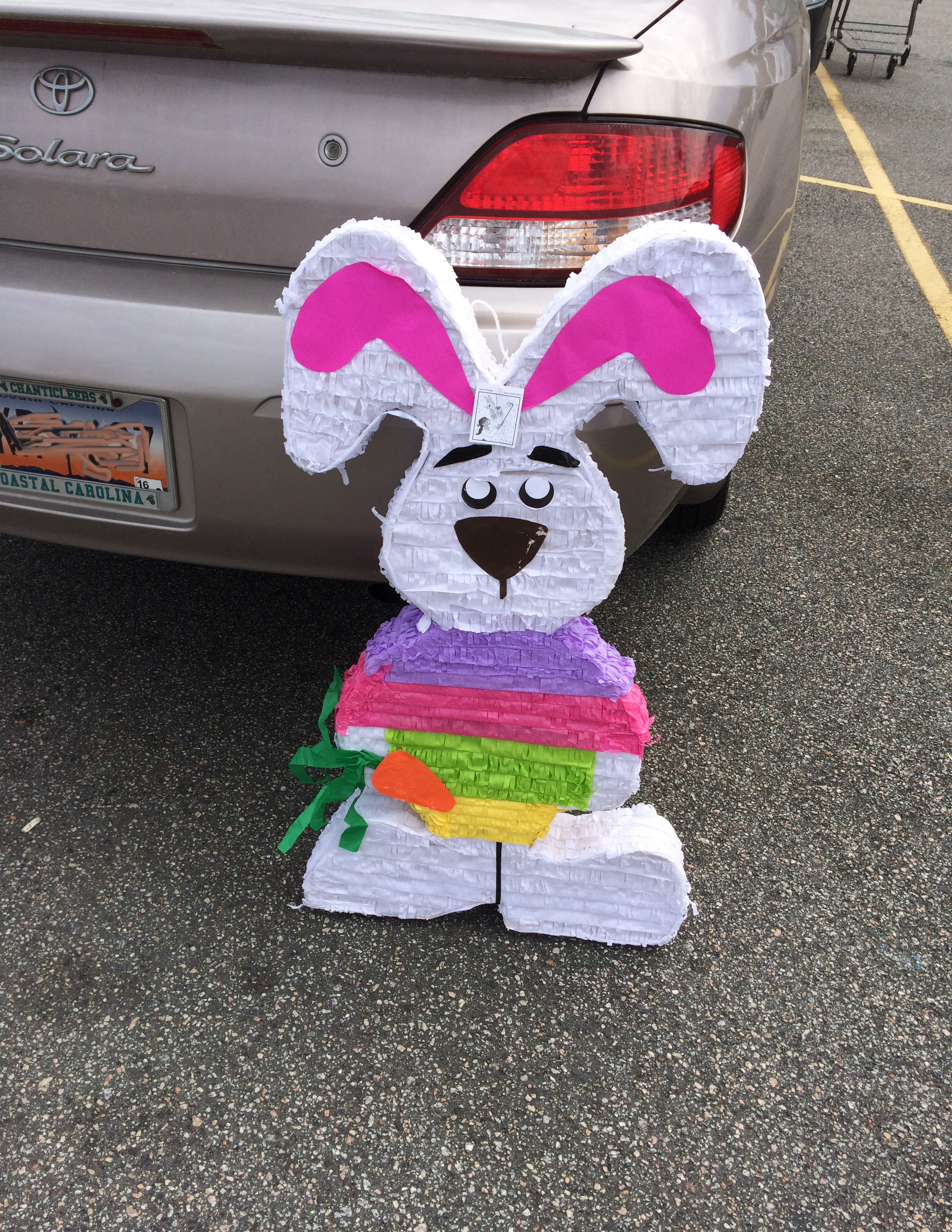 The bunny piñata I purchased up against my car.