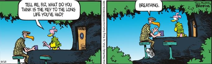 My dry sense of humor goes well with this strip.